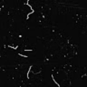 Meet your Posher, Keith